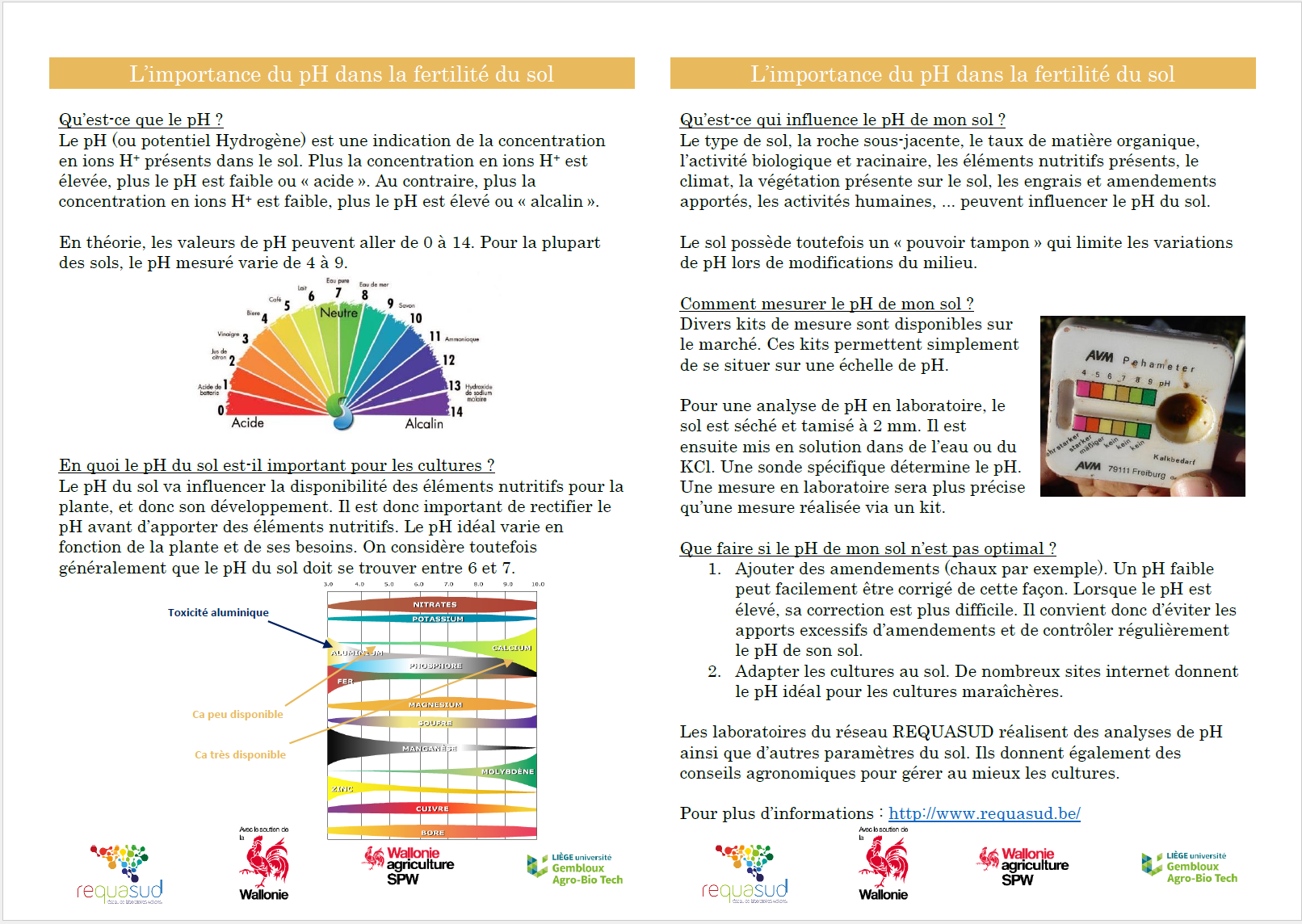 L’importance du pH dans la fertilité du sol